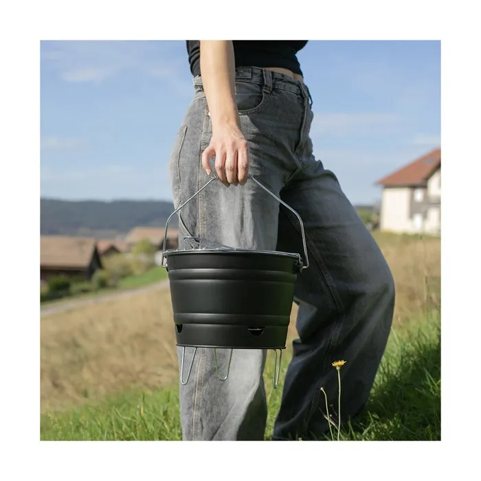 Livoo Barbacoa de Carbón Portátil DOC327N Acero Inoxidable Superficie de Cocción ø27 cm Altura 24 cm