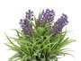 Ibergarden Maceta Cemento Lavanda Surtidos 15x22x15 cm (Set de 24)