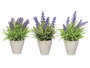Ibergarden Maceta Cemento Lavanda Surtidos 15x22x15 cm (Set de 24)
