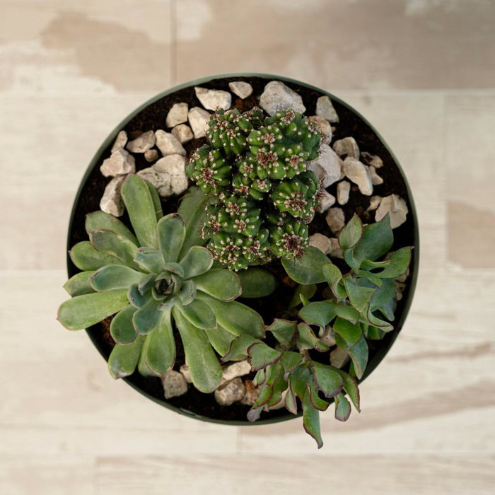 Vinthera Soporte con Macetero Moa Verde