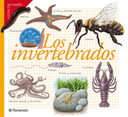 PARRAMON, Los invertebrados