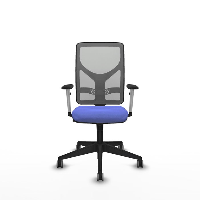 PIQUERAS Y CRESPO Silla de oficina Motilla con Mecanismo Sincro, Azul claro y Gris PIQUERAS Y CRESPO Silla de oficina Motilla con Mecanismo Sincro, Azul claro y Gris