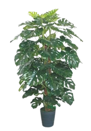 DKD Home Decor Planta Monstera Verde 80x80x150 cm