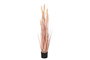DKD Home Decor Planta de Junco Coral y Negro 35x35x115 cm
