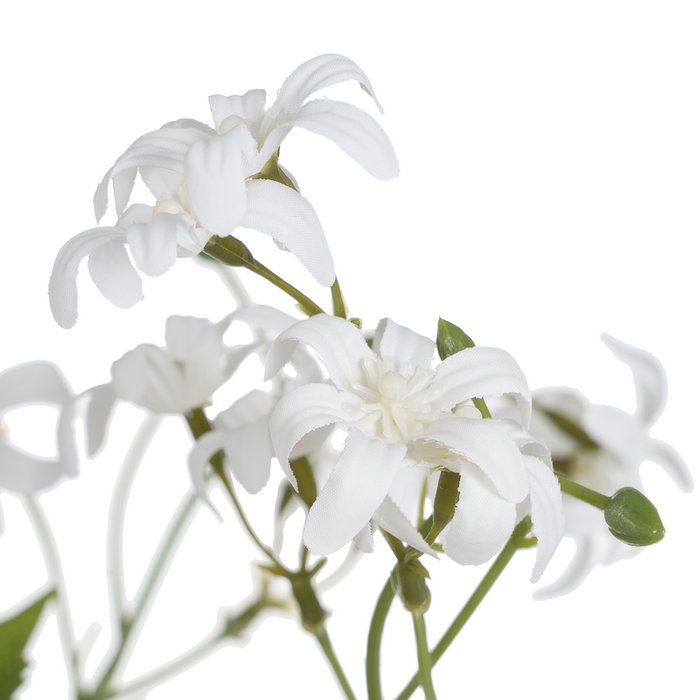 Rama Jacinto Blanco 88 cm (Set de 30)