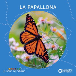 La papallona, Estel Baldó - BARCANOVA