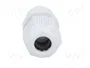 FIBOX Sello aislante M12 1,5 IP68 gris