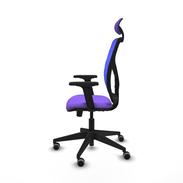 PIQUERAS Y CRESPO Silla de oficina Motilla con mecanismo Sincro/Traslack, Lila y Azul PIQUERAS Y CRESPO Silla de oficina Motilla con mecanismo Sincro/Traslack, Lila y Azul