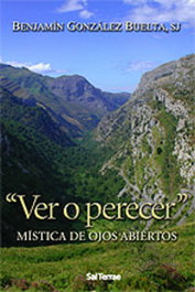 Ver o perecer, Benjamín González Buelta - SALTERRAE