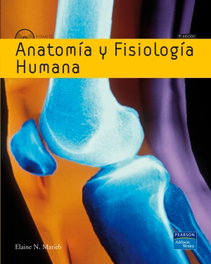 Anatomía y fisiología humana, Marieb, Elaine N. - ADDISON WESLEY