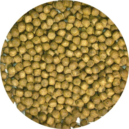 ZooMed Alimento Tortuga Acuática Maintenance 1,27 kg
