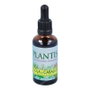 PLANTIS Extracto de Cola de Caballo 50ml