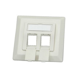 ROLINE Flush Mount Wall Outlet for Keystones, 2-port