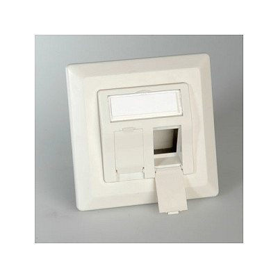 ROLINE Flush Mount Wall Outlet for Keystones, 2-port