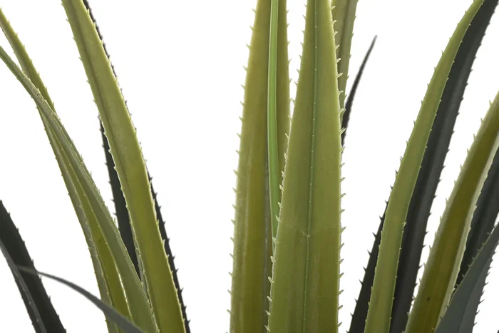 DKD Home Decor Planta Agave Verde 45x45x100 cm