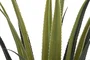 DKD Home Decor Planta Agave Verde 45x45x100 cm