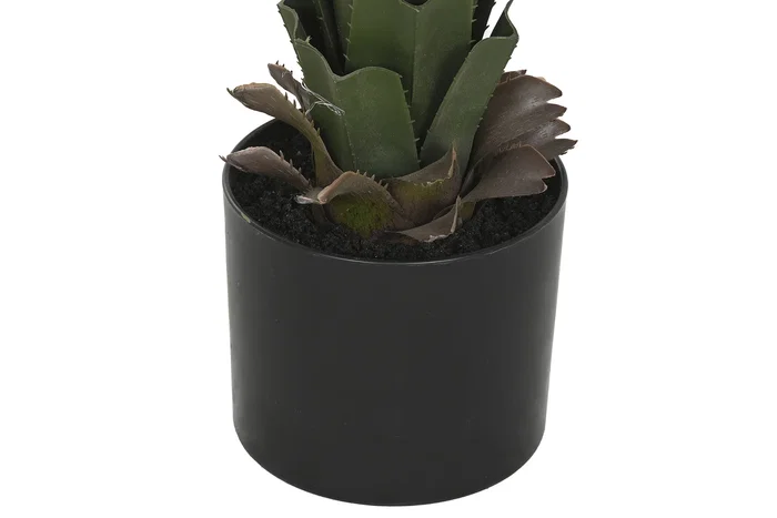 DKD Home Decor Planta Agave Verde 45x45x100 cm