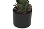 DKD Home Decor Planta Agave Verde 45x45x100 cm
