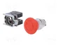 SCHNEIDER ELECTRIC Interruptor de emergencia Harmony XB4 XB4BS8444 Rojo