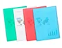 Liderpapel Carpeta con 30 Fundas DIN A4 Verde Manzana Translucido