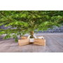 Krinner Kopenhagen White soporte para árbol de Navidad 2,5 m / 12 cm