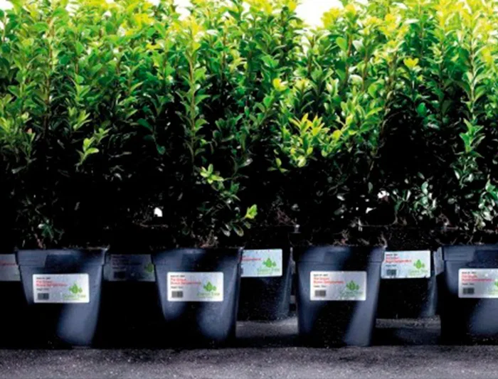 Avery Etiquetas Adhesivas Poliéster Blanco Extra Resistente Láser 45,7x21,2 mm Caja de 960 Unidades