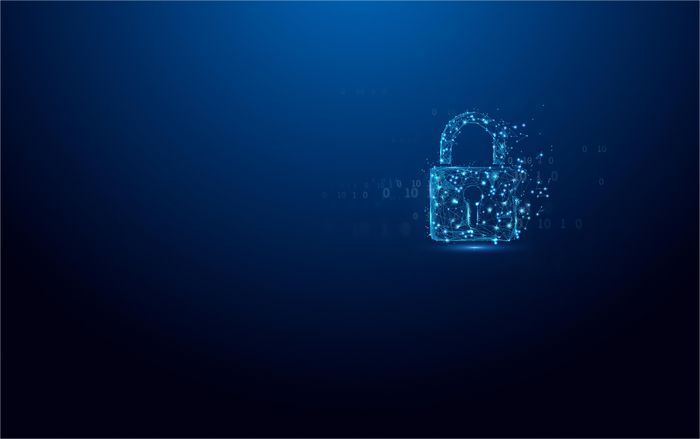 Kingston Vault Privacy 50C 32GB USB-C 3.2 Gen 1, AES-256, FIPS 197, Resistente al Agua, Negro/Azul