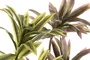DKD Home Decor Pack de 2 Plantas de PE y Fibra Verde 30x30x75 cm