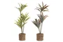 DKD Home Decor Pack de 2 Plantas de PE y Fibra Verde 30x30x75 cm