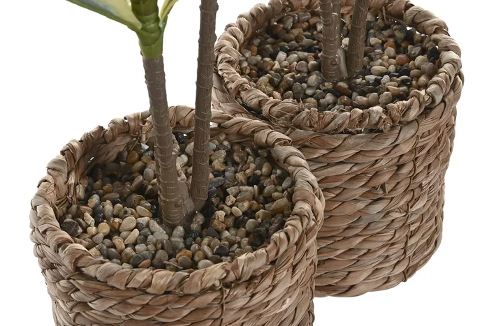 DKD Home Decor Pack de 2 Plantas de PE y Fibra Verde 30x30x75 cm DKD Home Decor Pack de 2 Plantas de PE y Fibra Verde 30x30x75 cm