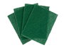 Arte Regal Set 4 Estropajos Verdes Fibra Extra 12 cm x 16 cm x 3 cm (Estropajo 11.3 x 15.7 x 0.5 cm) (Set de 22)