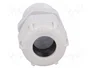BM GROUP Sello aislante PG16 IP68 con rosca prolongada