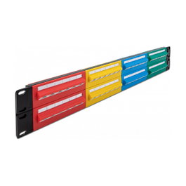 DeLOCK Patchpanel 48 Puertos Cat.5e 2U 19 pulgadas