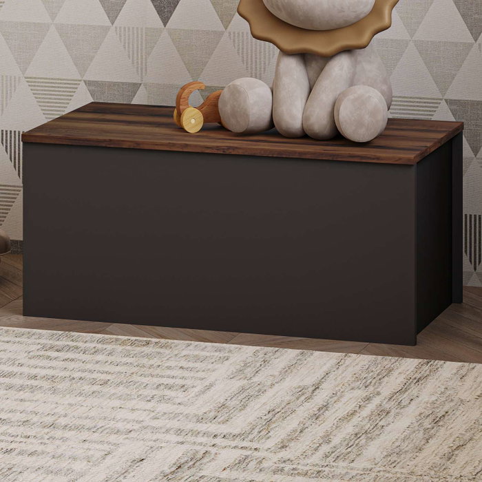 Hanah Home Baúl Anthracite, Rustic Walnut. Mueble Auxiliar para Salón Dormitorio. 90x45.5x45cm