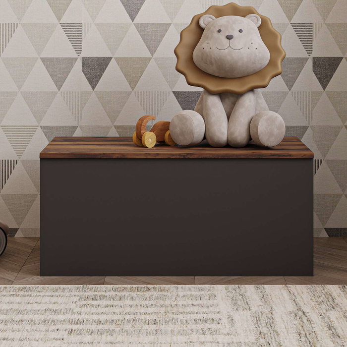 Hanah Home Baúl Anthracite, Rustic Walnut. Mueble Auxiliar para Salón Dormitorio. 90x45.5x45cm