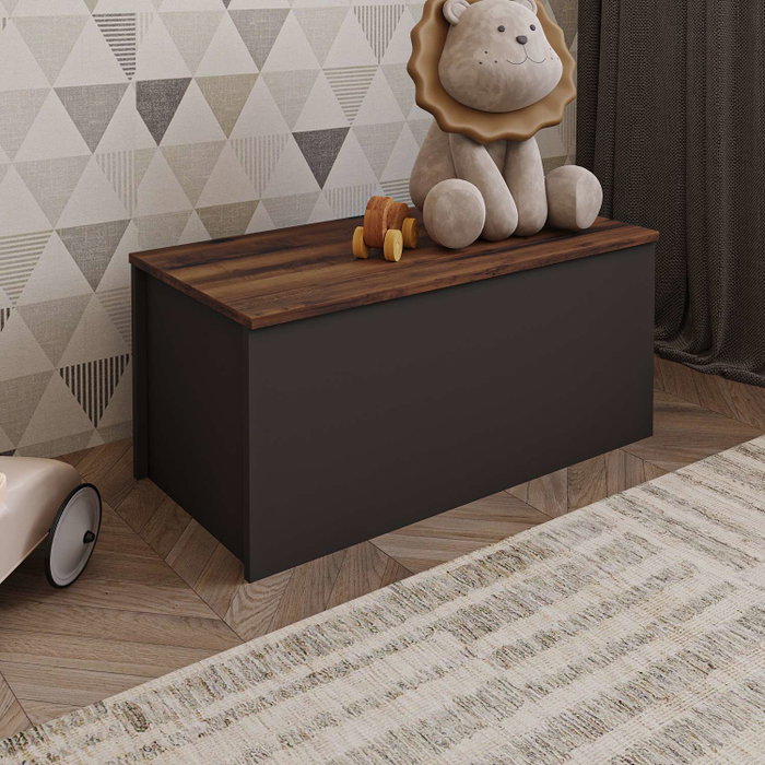 Hanah Home Baúl Anthracite, Rustic Walnut. Mueble Auxiliar para Salón Dormitorio. 90x45.5x45cm