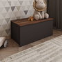 Hanah Home Baúl Anthracite, Rustic Walnut. Mueble Auxiliar para Salón Dormitorio. 90x45.5x45cm