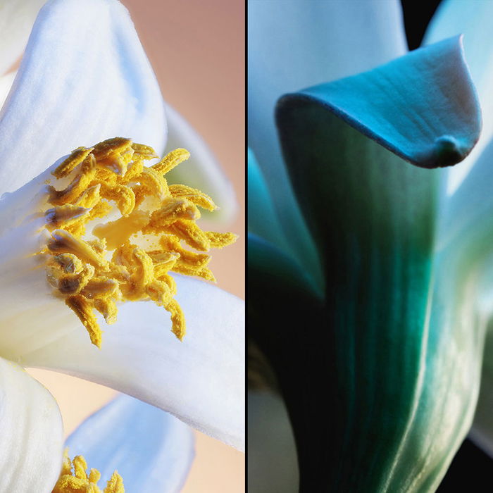 Guerlain Jardins de Bagatelle Eau de Toilette Vaporizador para Mujer 75 ml