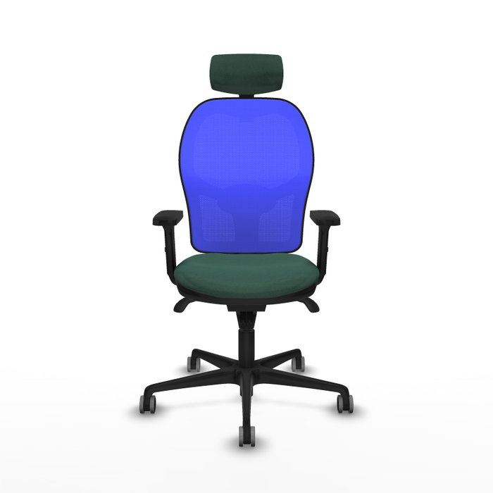 PIQUERAS Y CRESPO Silla de oficina Jorquera Verde botella y Azul PIQUERAS Y CRESPO Silla de oficina Jorquera Verde botella y Azul