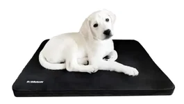 B. Braun Cama de Hospitalización para Pacientes