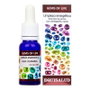 EQUISALUD Gems of Life Limpieza Energética 15 ml