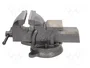 PROLINE Prensa de tornillo de mesa de 125mm con yunque y base rotativa