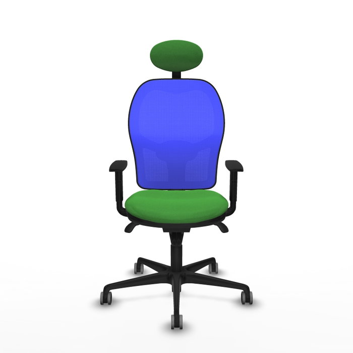 PIQUERAS Y CRESPO Silla de oficina Jorquera con mecanismo Sincro, Tela Verde y Malla Azul
