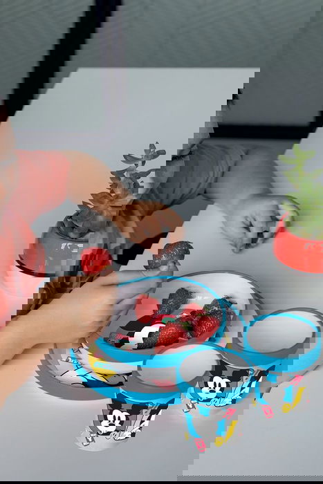 Cuenco Mickey Mouse CZ11289