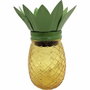 Galix Piña solar