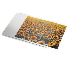 Esselte 67691 Alfombrilla Personalizable para Ratón, Transparente/Blanco, 240x190mm