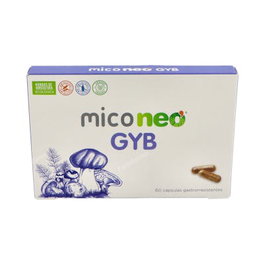 NEO MICO NEO GYB 60 cápsulas gastroresistentes