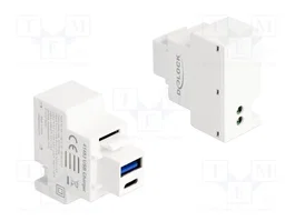 DeLOCK Módulo Keystone con USB Tipo-A y USB Type-C™ PD 20 W Blanco