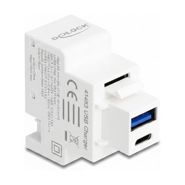 DeLOCK Módulo Keystone con USB Tipo-A y USB Tipo-C™ PD 20 W Blanco