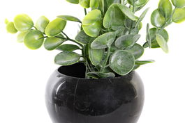 DKD Home Decor Planta Scandi Blanco Negro 12 x 15 x 12 cm (12 Unidades)